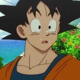 son goku son goku